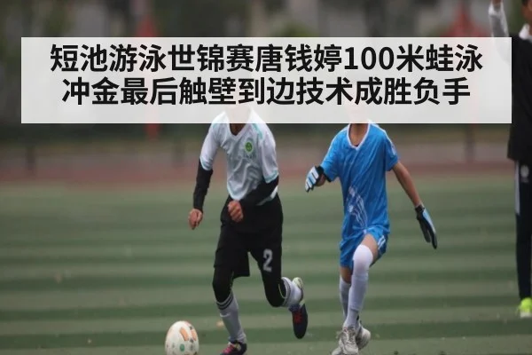 短池游泳世锦赛唐钱婷100米蛙泳冲金最后触壁到边技术成胜负手